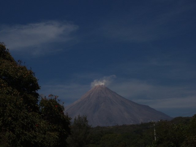  Volcan Fuego depuis les plantations de café 